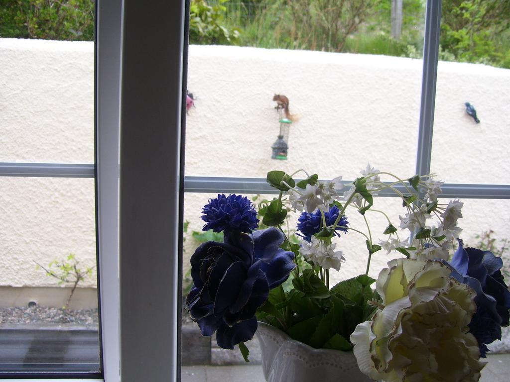 Lurig View B&B Glenariff Exterior foto