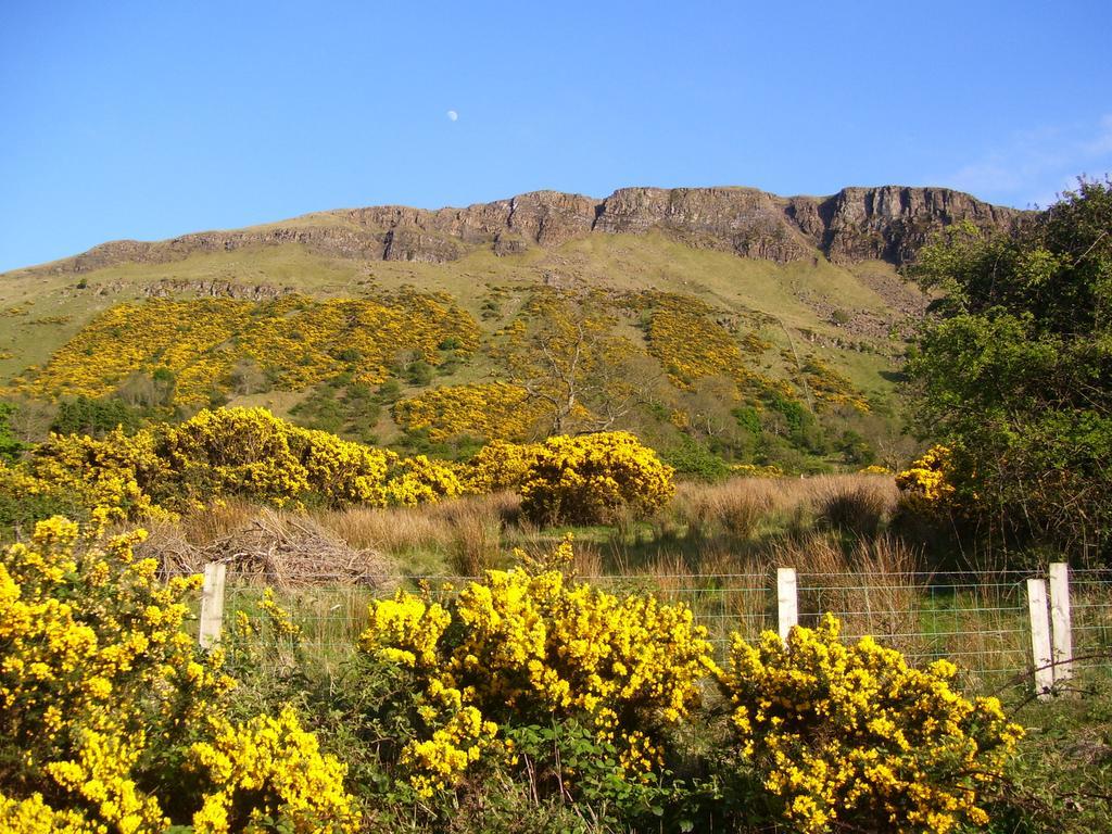 Lurig View B&B Glenariff Exterior foto